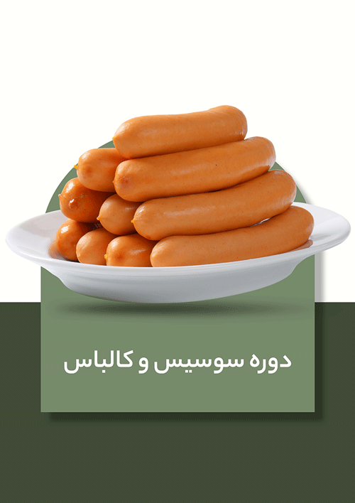 آموزش تخصصی سوسیس و کالباس
